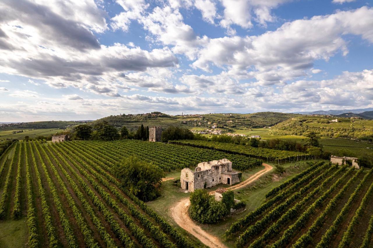סואבה Agriturismo Monte Bisson מראה חיצוני תמונה
