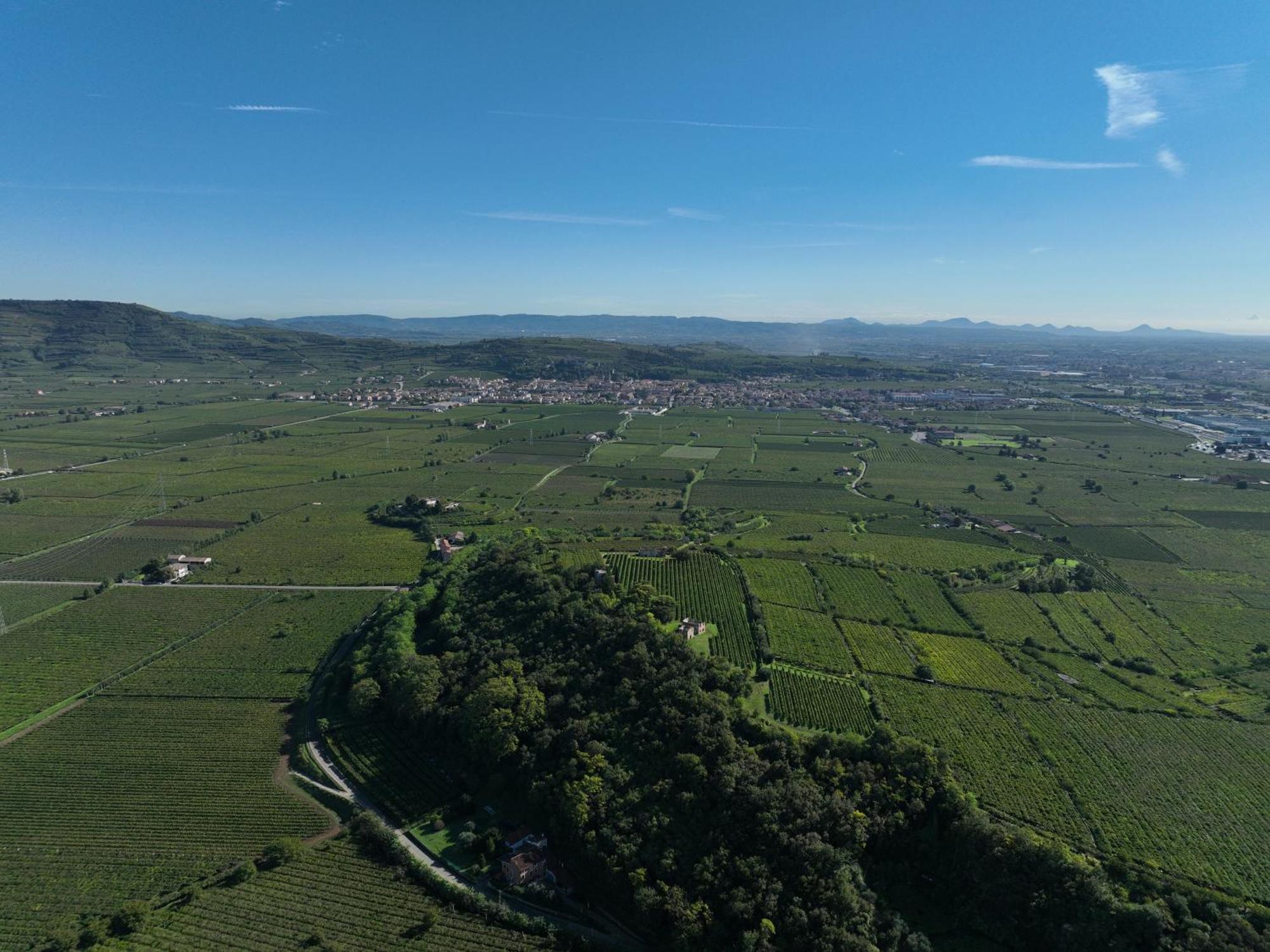 סואבה Agriturismo Monte Bisson מראה חיצוני תמונה